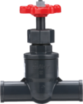 Globe Valve