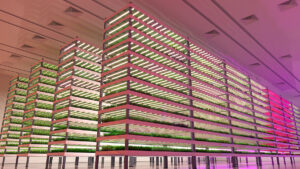 Indoor Agriculture Facility