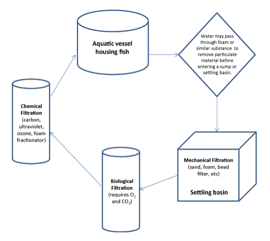 How Different Thermoplastic Valves Operate in Aquatic Life Support Systems