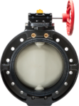 Type-56D Butterfly Valve