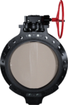 Type-58 Butterfly Valve